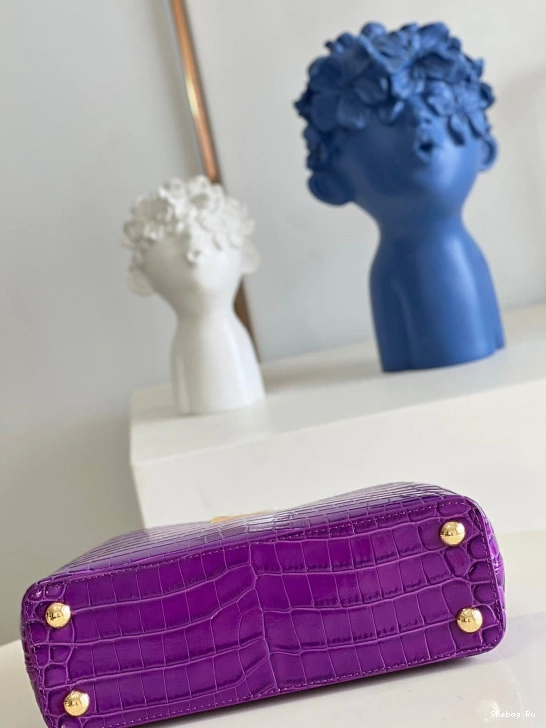 BB VUITTON CAPUCINES LOUIS 0728